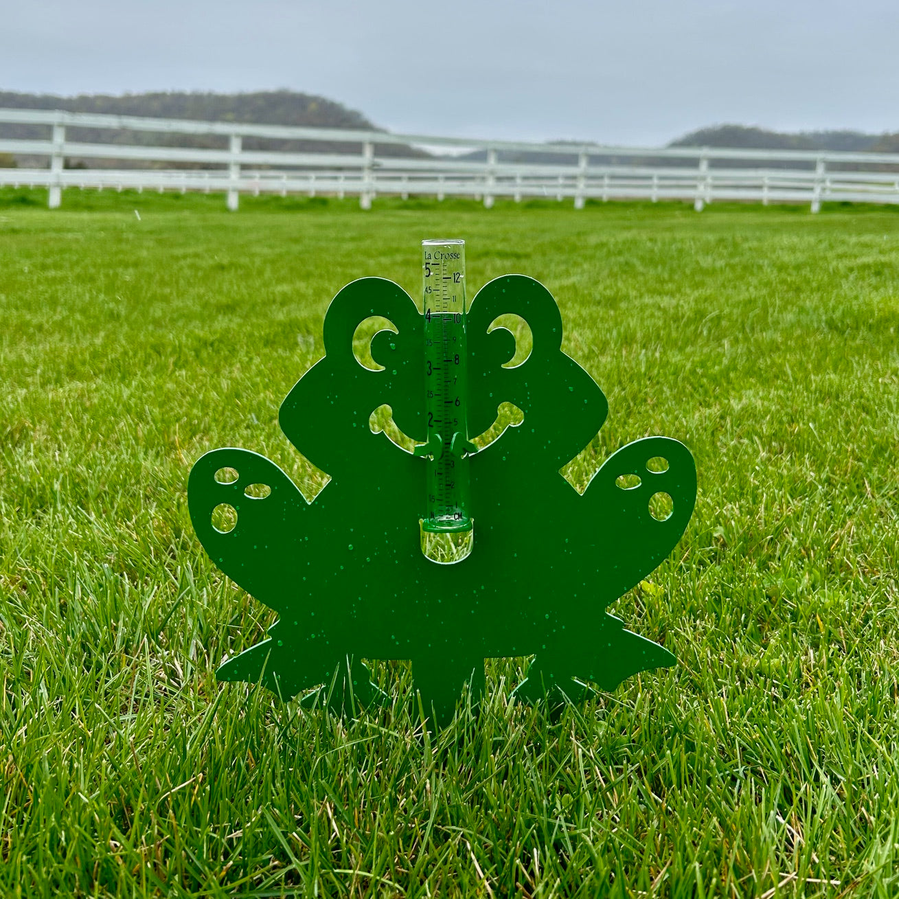 Frog Rain Gauge Stake