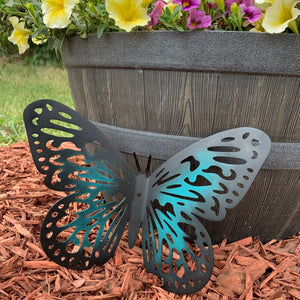 Garden Butterflies